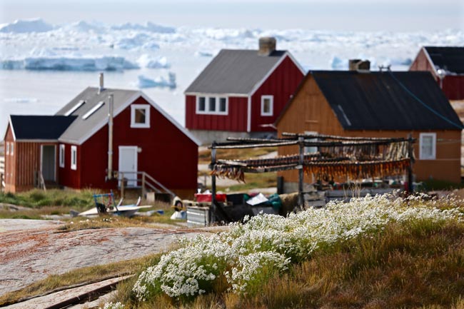 Town with Scandanavian style housing | Location: Greenland