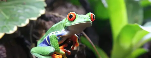 8 Day Costa Rica Tour