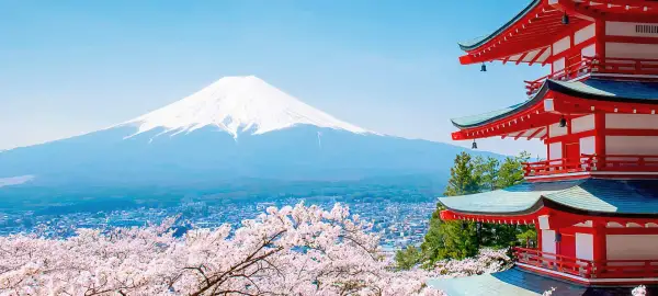 20 Day Japan by Rail Tour