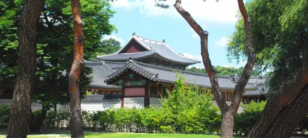 20 Day South Korea & Japan Tour