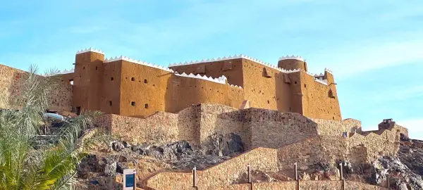 14 Day Saudi Arabia Tour