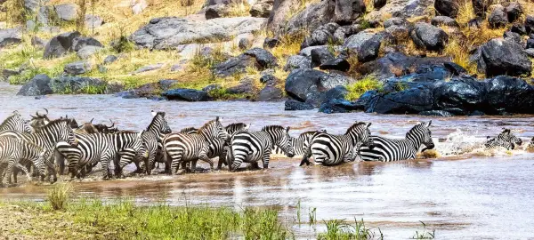 35 Day Kenya, Tanzania & Madagascar Tour