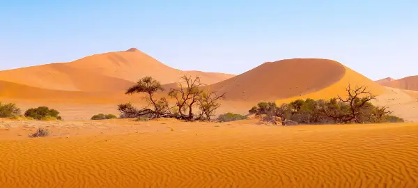 12 Day Namibia Tour