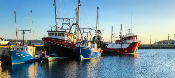 16 Day Newfoundland & Labrador Tour