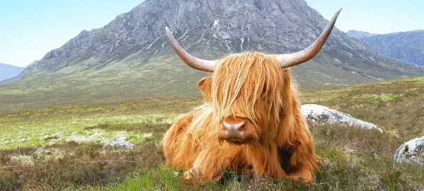 19 Day Scotland & Ireland Explorer Tour