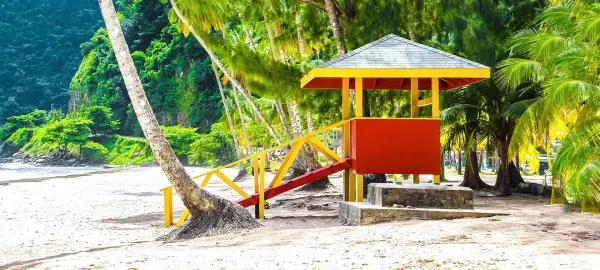 Trinidad & Tobago and The Guianas Tour