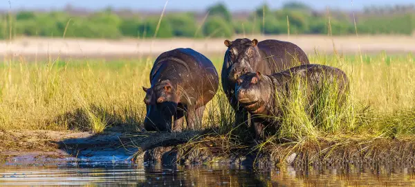 26 Day Tanzania & Southern Africa Tour