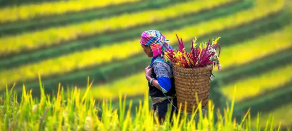 14 Day Northern Vietnam & Laos Tour