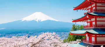 Japan In Depth Tour