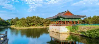 27 Day South Korea & Japan Tour