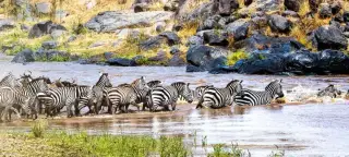 35 Day Kenya, Tanzania & Madagascar Tour