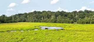 A Journey to The Heart Of The Congo Tour