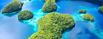 24 Day South Pacific Tour