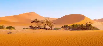 13 Day Namibia Tour