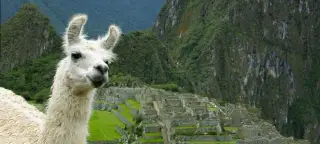 17 Day Peru & Bolivia Tour