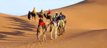 40 Day Portugal, Spain & Morocco Tour