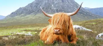 19 Day Scotland & Ireland Explorer Tour