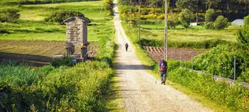 El Camino de Santiago Tour