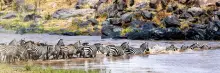 East Africa Group Tours