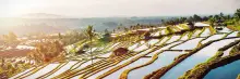 Asia Group Tours