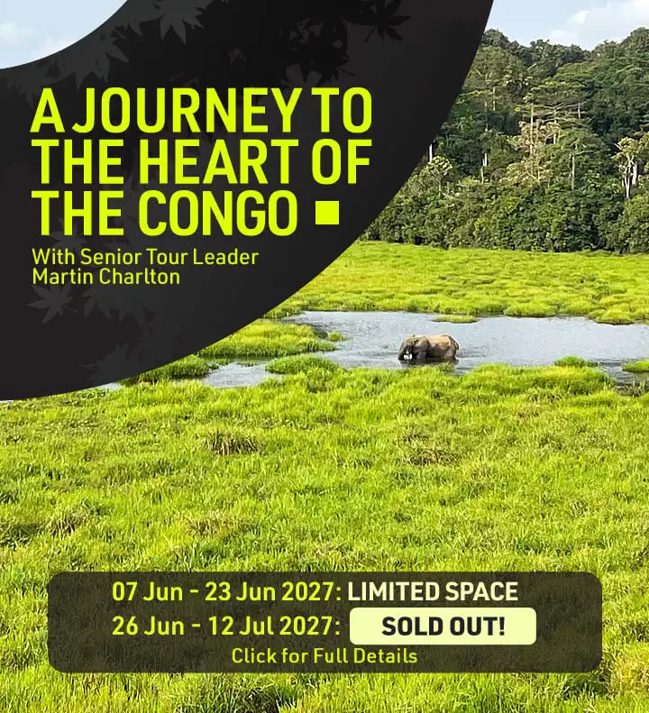 [MCCR] A Journey to The Heart Of The Congo Tour