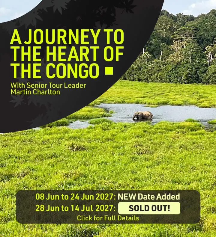 [MCCR] A Journey to The Heart Of The Congo Tour
